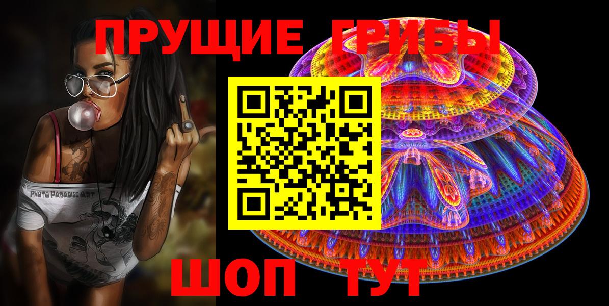 Михайловка  Псилоцибиновые грибы прущие грибы  купить наркоту  Вход с VPN 