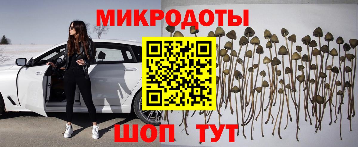 Псилоцибиновые грибы прущие грибы Михайловка