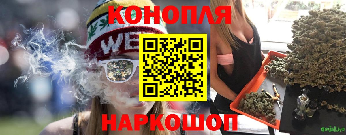 Каннабис планчик Михайловка